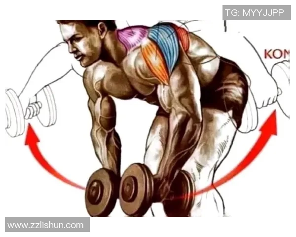 哑铃平板飞鸟的正确姿势与技巧详解图解分享